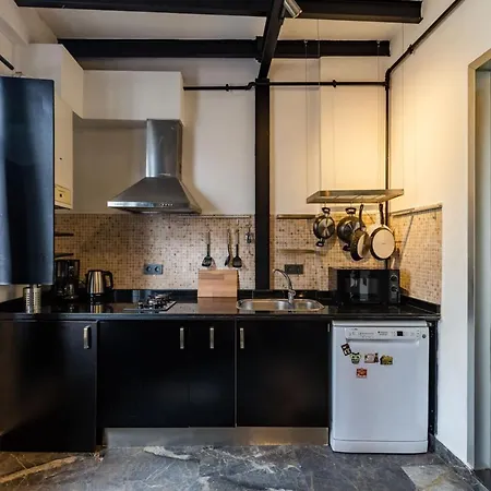 Dreamy Duplex Flat With Terrace Near Galata Tower Appartement Istambul